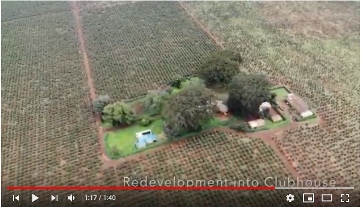 Coffee Plantation 303 Acre for sale