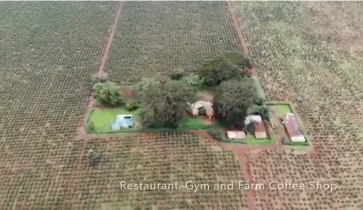 Coffee Plantation 303 Acre for sale