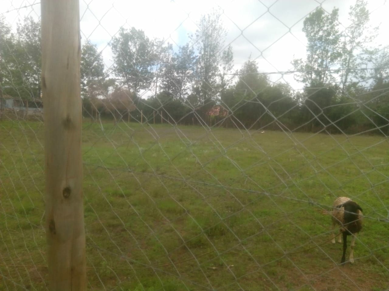 KAREN BOMAS AREA NAIROBI 1/2 ACRE RESIDENTIAL LAND ON QUICK SALE