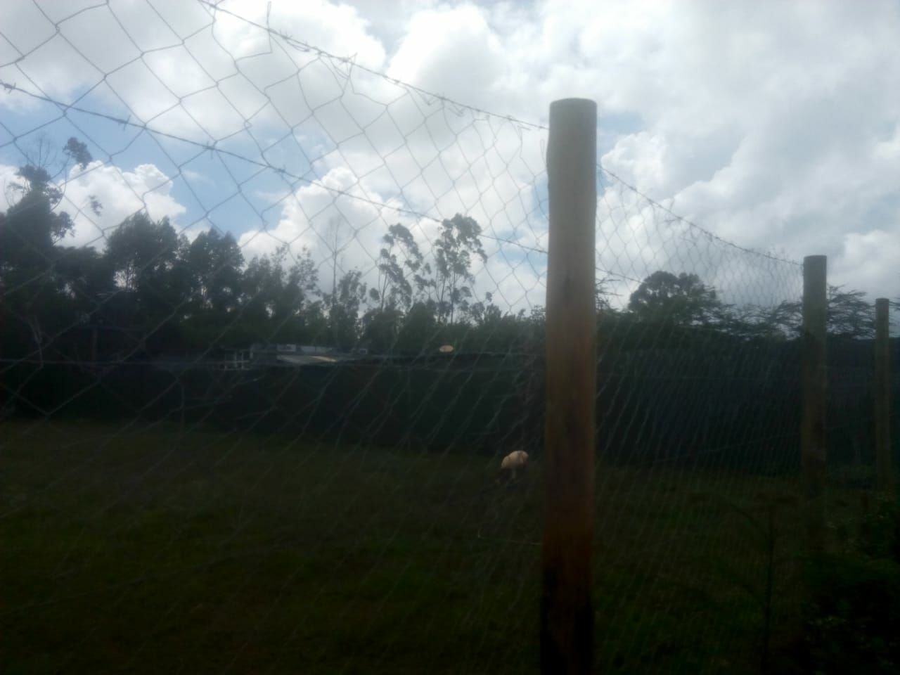 KAREN BOMAS AREA NAIROBI 1/2 ACRE RESIDENTIAL LAND ON QUICK SALE
