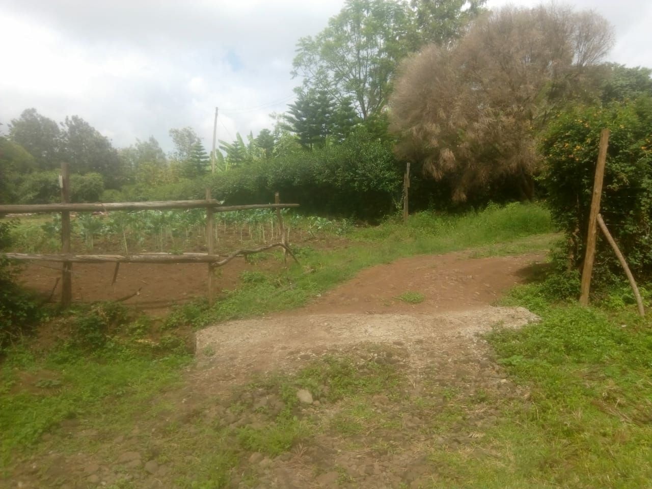KAREN BOMAS AREA NAIROBI 1/2 ACRE RESIDENTIAL LAND ON QUICK SALE