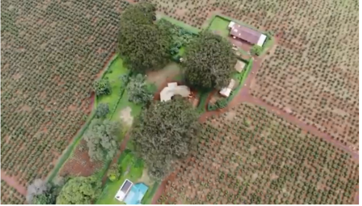 Coffee Plantation 303 Acre for sale