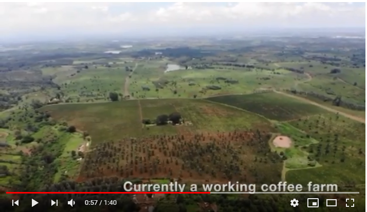 Coffee Plantation 303 Acre for sale