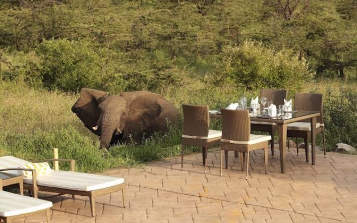 10 Cottages in 20 Acres for sale in Maasai Mara