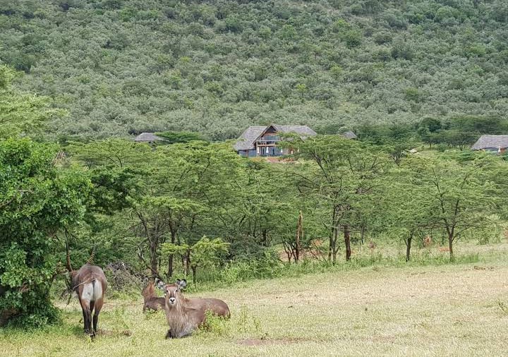 10 Cottages in 20 Acres for sale in Maasai Mara