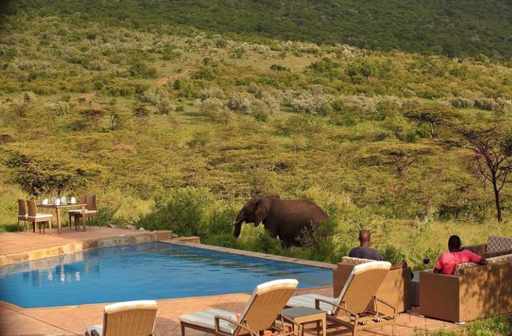 10 Cottages in 20 Acres for sale in Maasai Mara