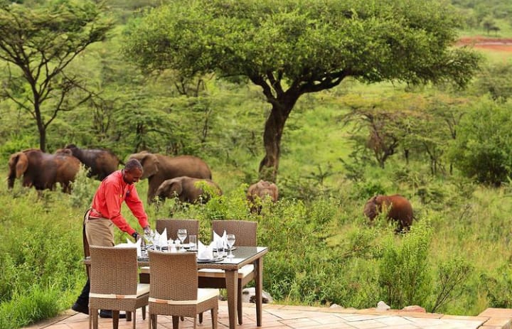 10 Cottages in 20 Acres for sale in Maasai Mara