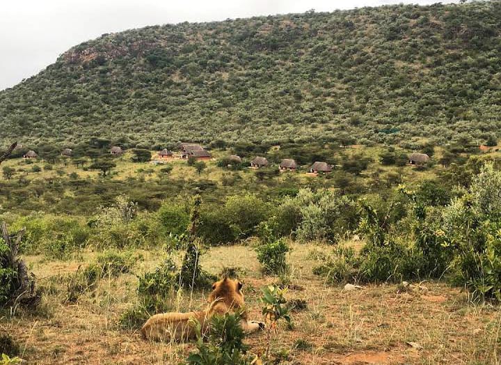 10 Cottages in 20 Acres for sale in Maasai Mara