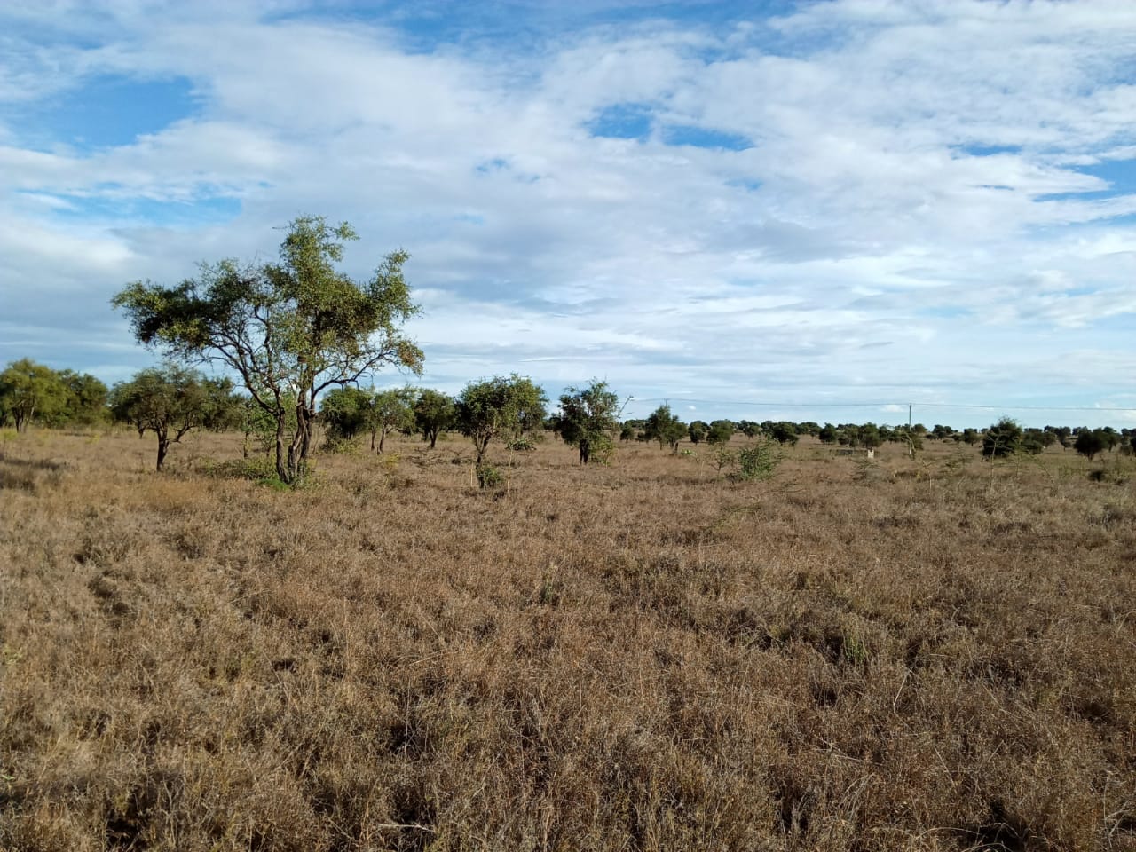 200 Acres for sale along Mombasa road.Kinanie area