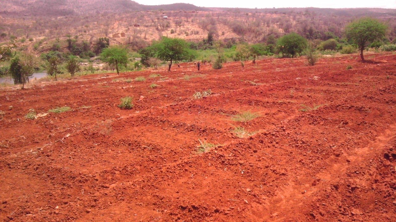 17.5 Acres land in Mwala Machakos Ksh 8.5M QUICK SALE