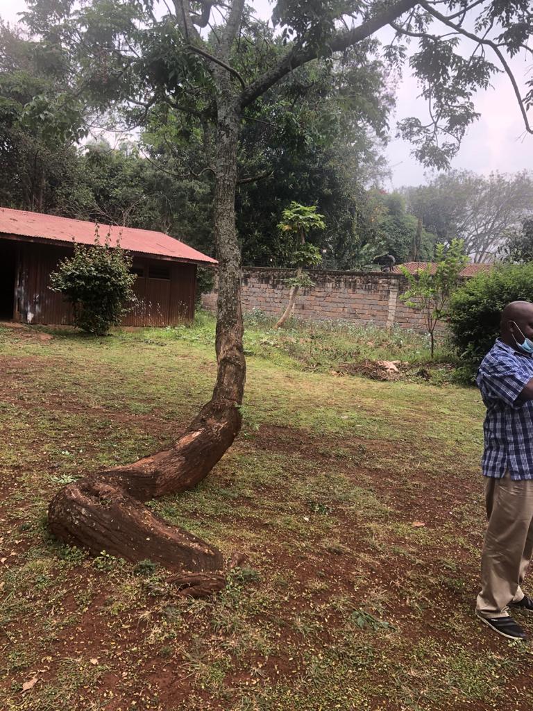 0.989 Acres prime plot for sale in Lavington Nairobi