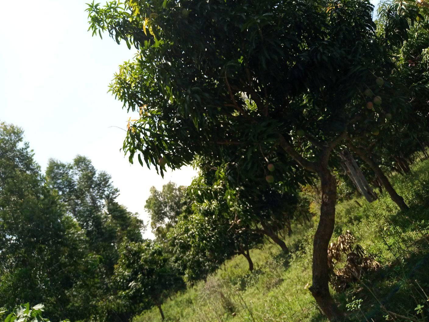 10 Acres land for Sale in Embu Siakago. 