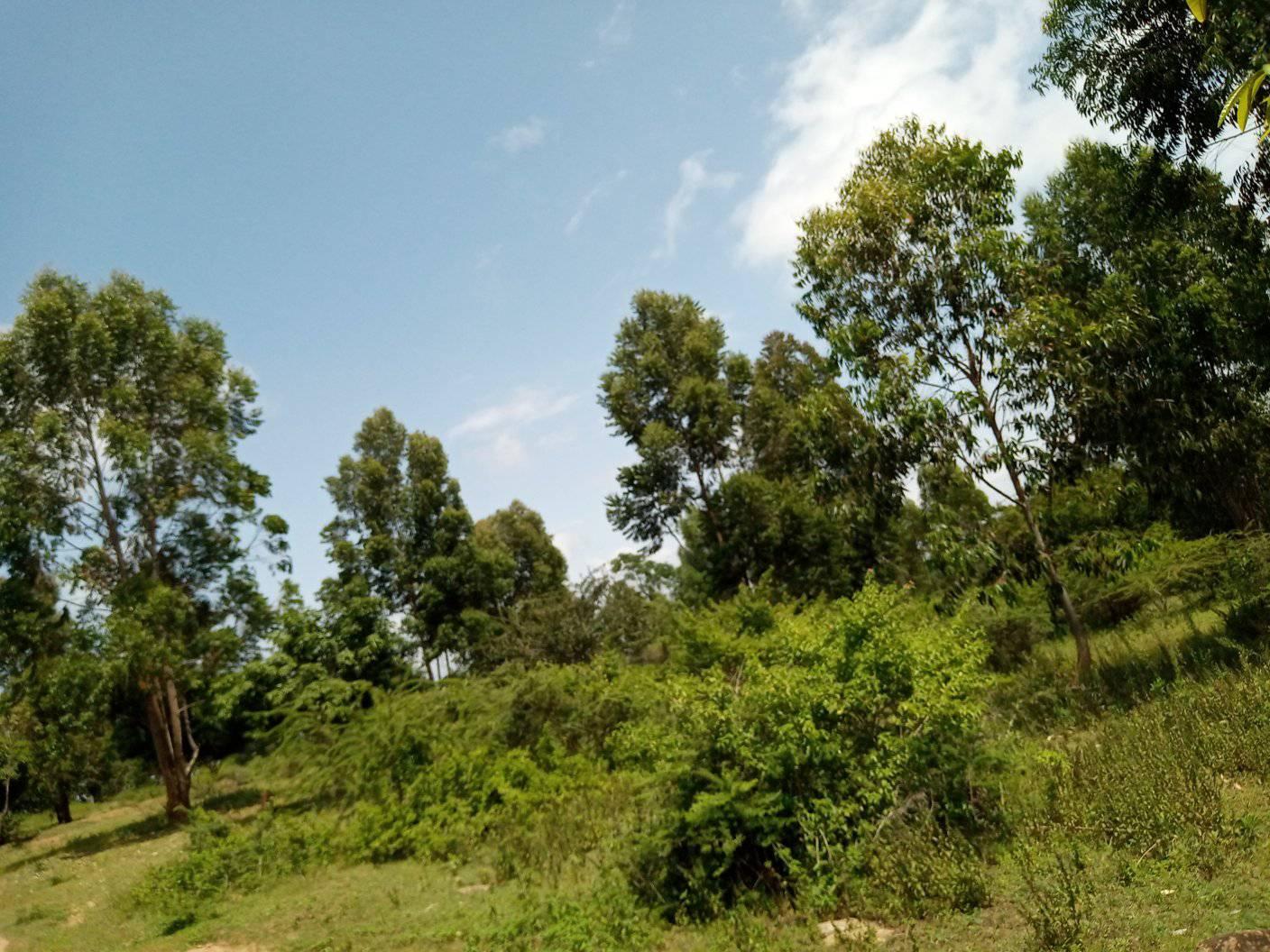 10 Acres land for Sale in Embu Siakago. 