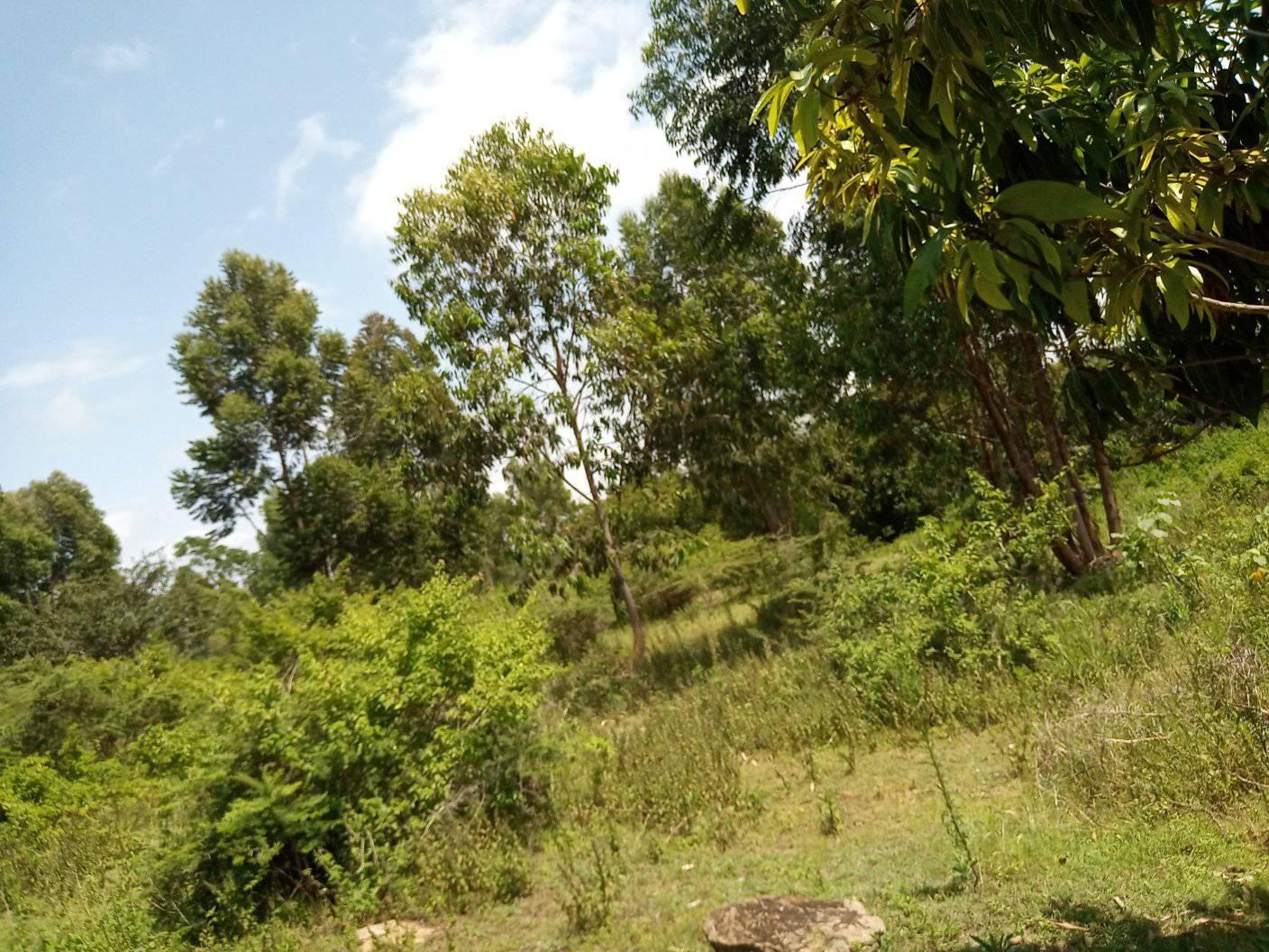 10 Acres land for Sale in Embu Siakago. 