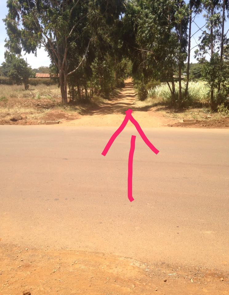 1 ACRE PROPERTY ON SALE