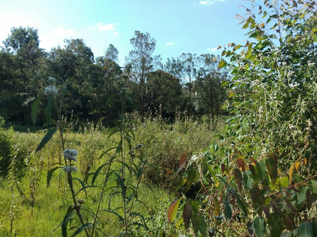 KAREN SHOPPING CENTER 4.5 ACRES COMMERCIAL LAND FOR LONG TERM LEASE