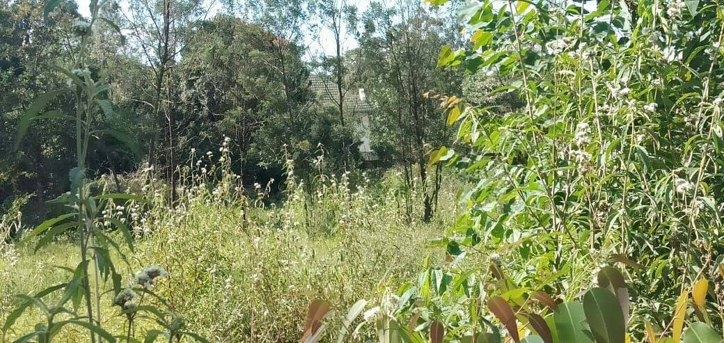 KAREN SHOPPING CENTER 4.5 ACRES COMMERCIAL LAND FOR LONG TERM LEASE
