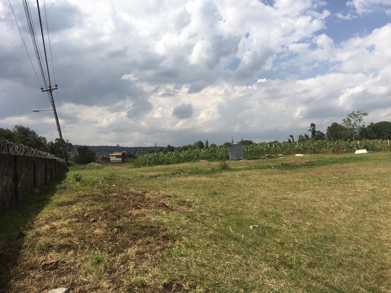 24 Acres Kerarapon, Karen For Sale 