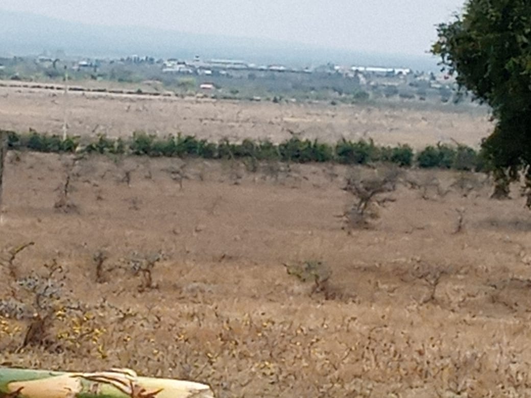 100 Acres Kantaf, Off Kangundo Road on Quick Sale 