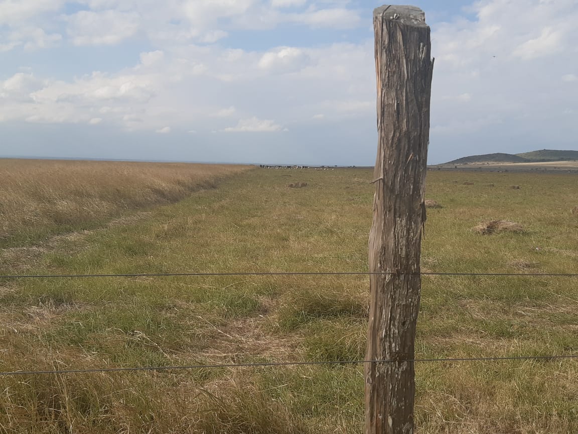 1000 Acres Agricultural land for sale in Narok, Maji Moto