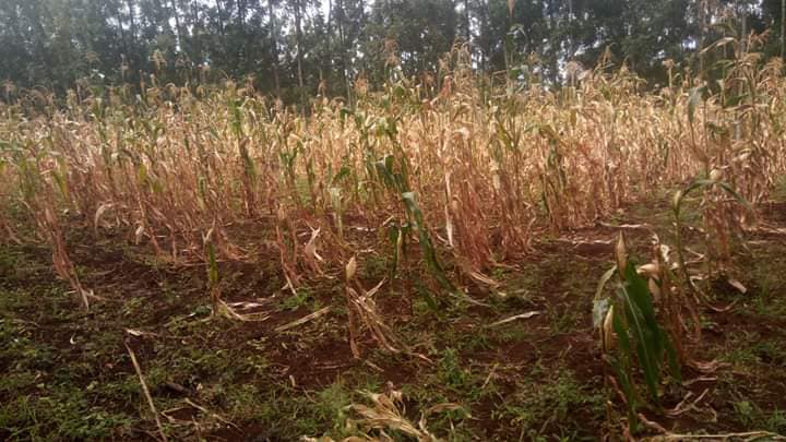 23 Acres of land on sale in Meru