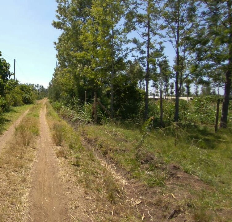 MAKUYU MURANG'A COUNTY 2 ACRES RESIDENTIAL COMMERCIAL LAND ON QUICK SALE