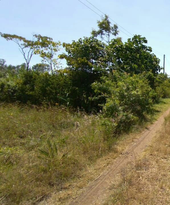 MAKUYU MURANG'A COUNTY 2 ACRES RESIDENTIAL COMMERCIAL LAND ON QUICK SALE