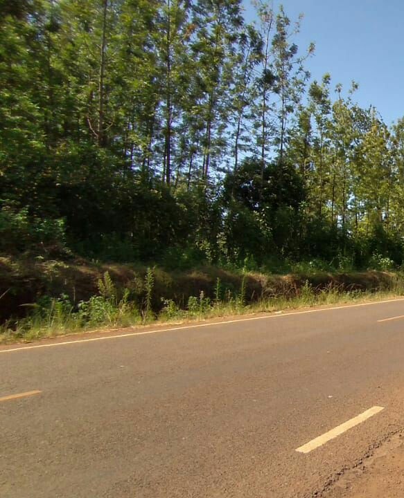 MAKUYU MURANG'A COUNTY 2 ACRES RESIDENTIAL COMMERCIAL LAND ON QUICK SALE