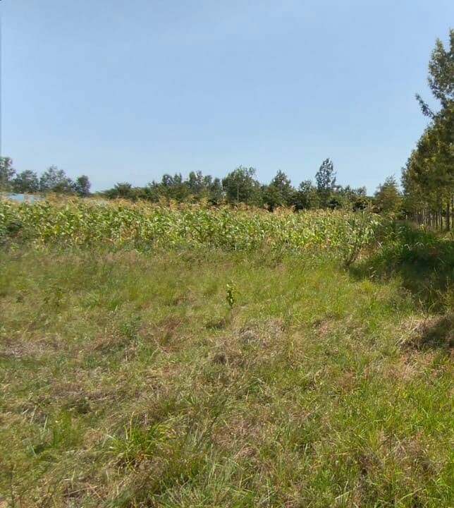 MAKUYU MURANG'A COUNTY 2 ACRES RESIDENTIAL COMMERCIAL LAND ON QUICK SALE
