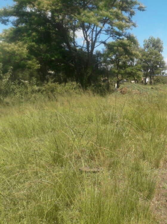KENOL MAKUYU MURANGA 4 ACRES COMMERCIAL LAND ON QUICK SALE