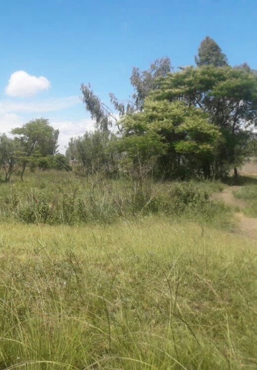 KENOL MAKUYU MURANGA 4 ACRES COMMERCIAL LAND ON QUICK SALE
