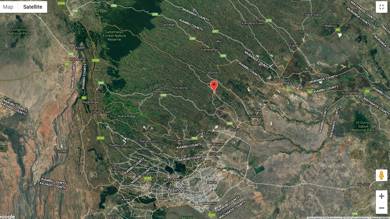 Coffee Plantation 303 Acre for sale