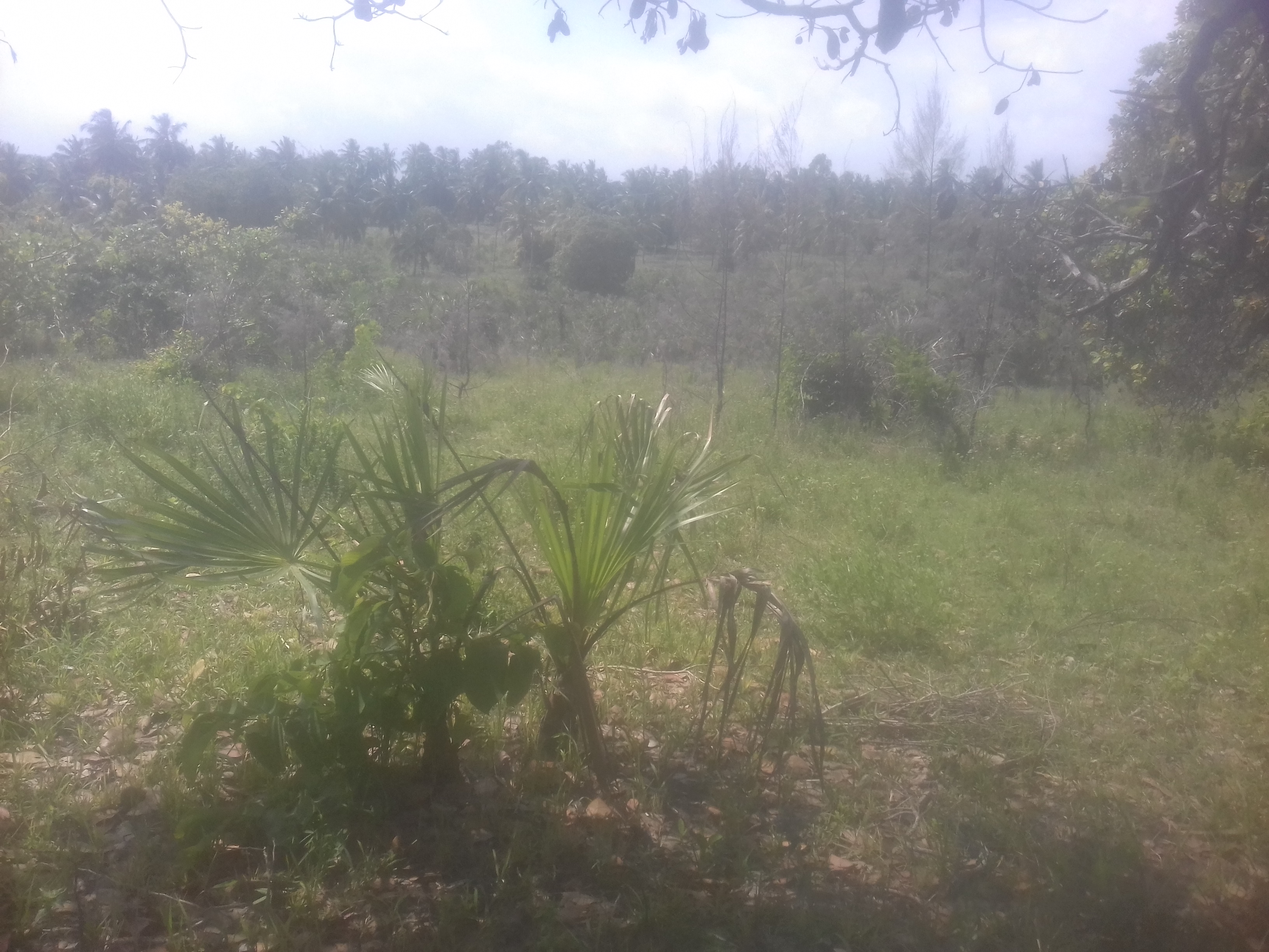 land for sale in Ukunda Kwale County