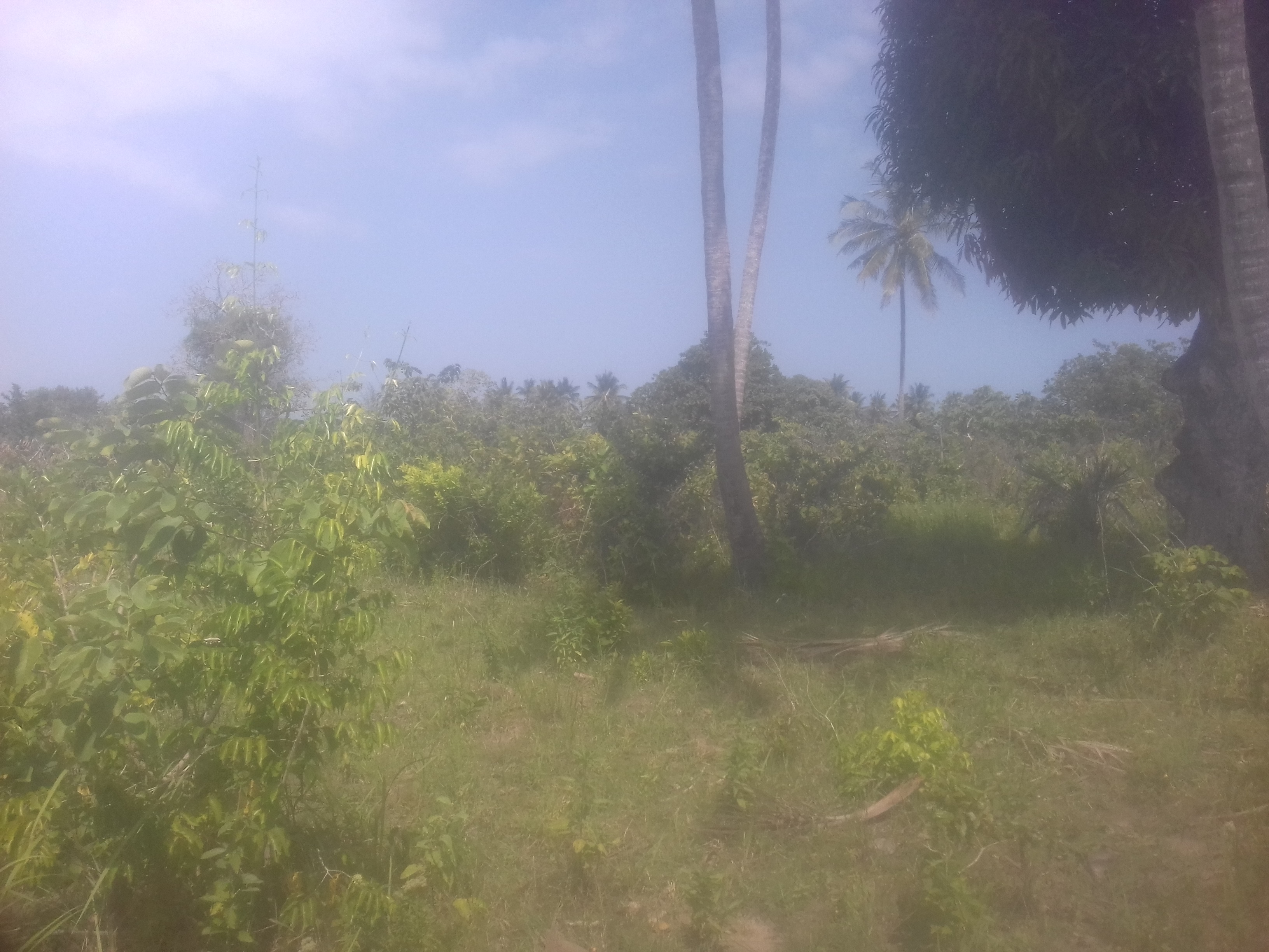 land for sale in Ukunda Kwale County