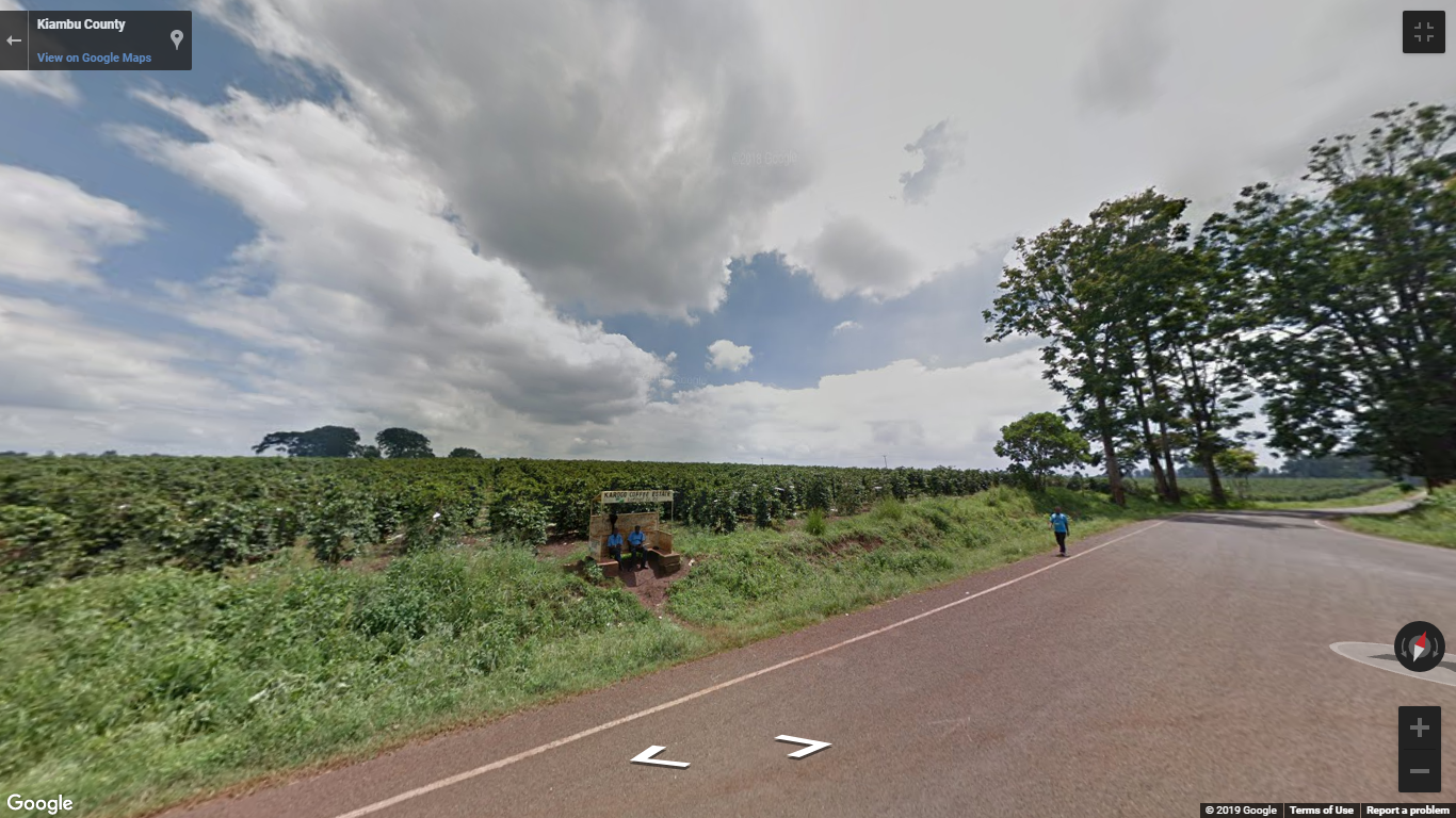 Coffee Plantation 303 Acre for sale