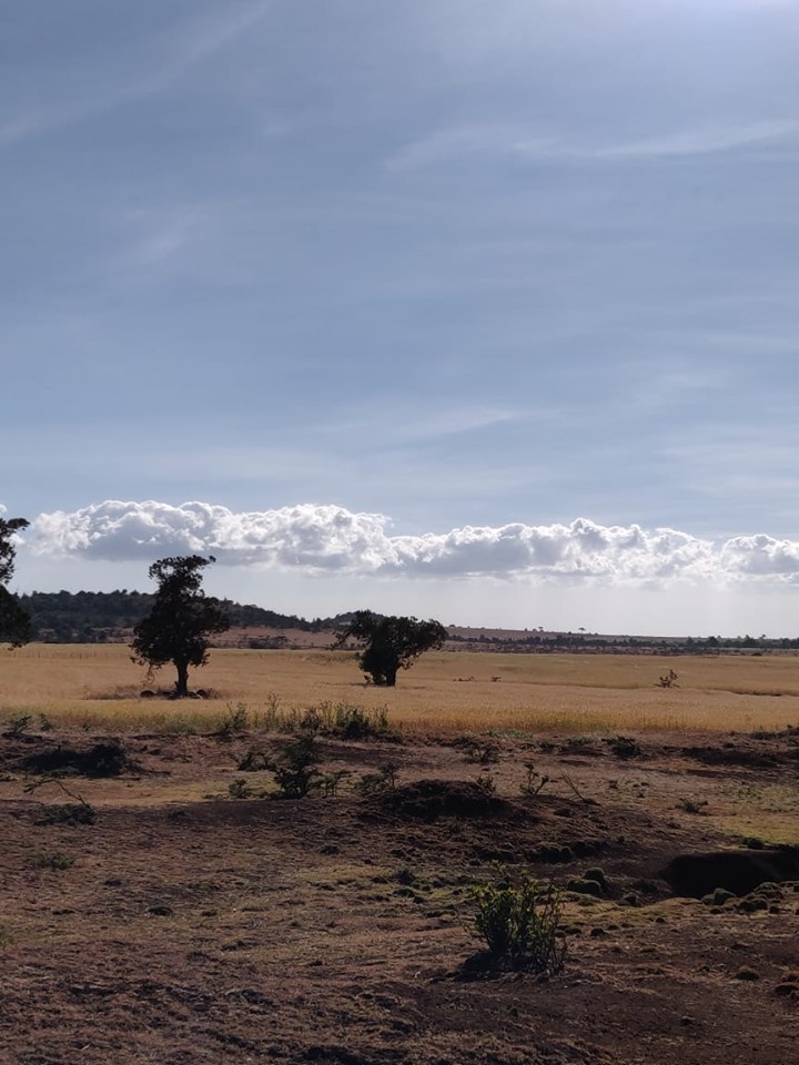 25.5 Acres on sale in Laikipia County