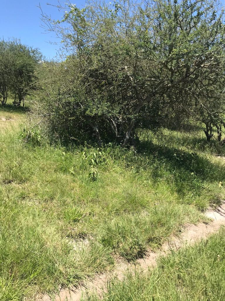 8 acres for sale.