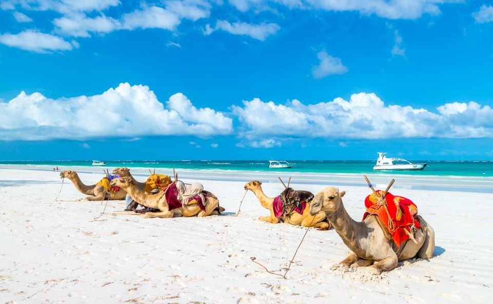 A beach hotel for sale in Nyali Mombasa