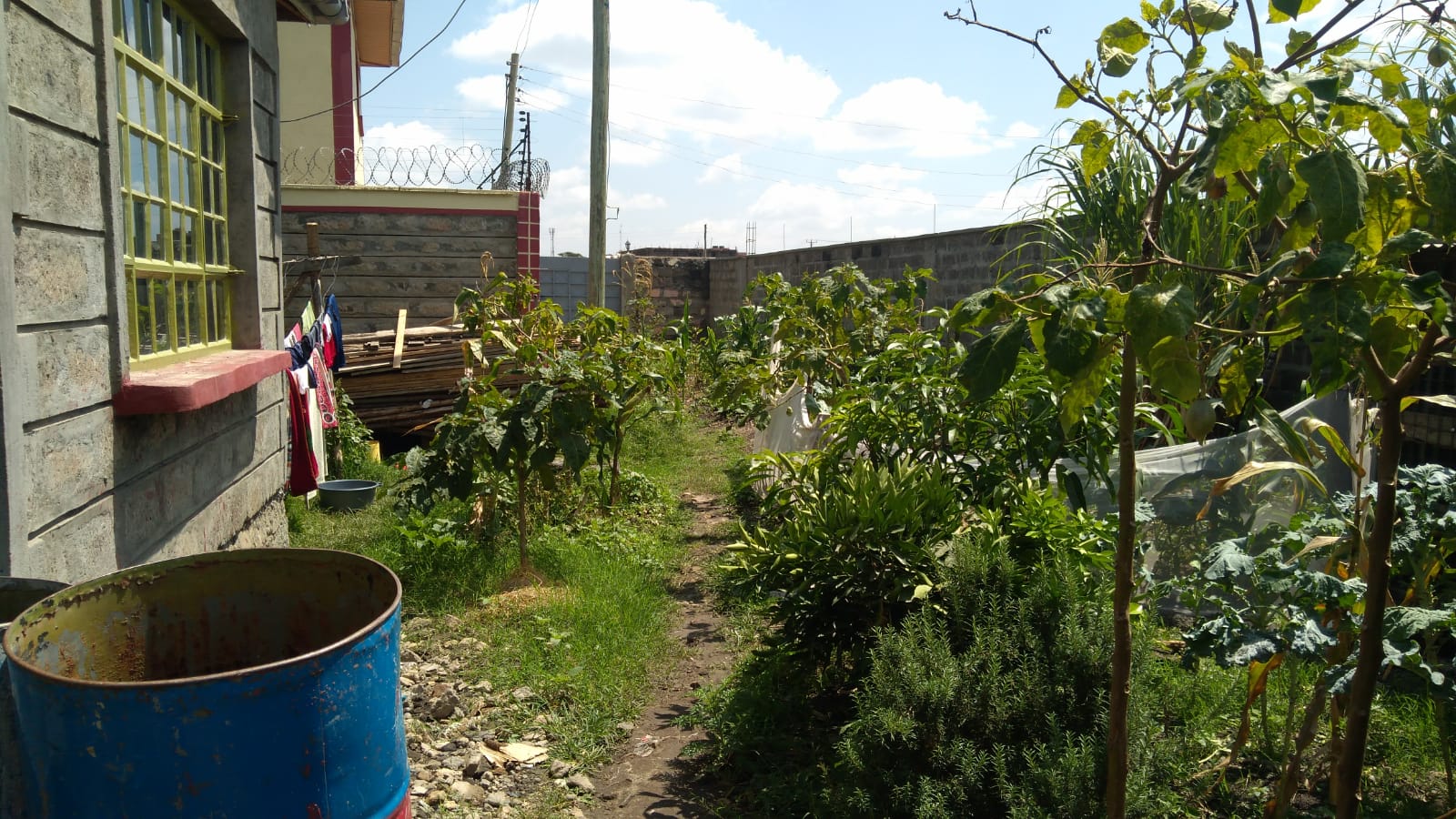 4 bedroom bungalow for sale in Njiru, Kasarani