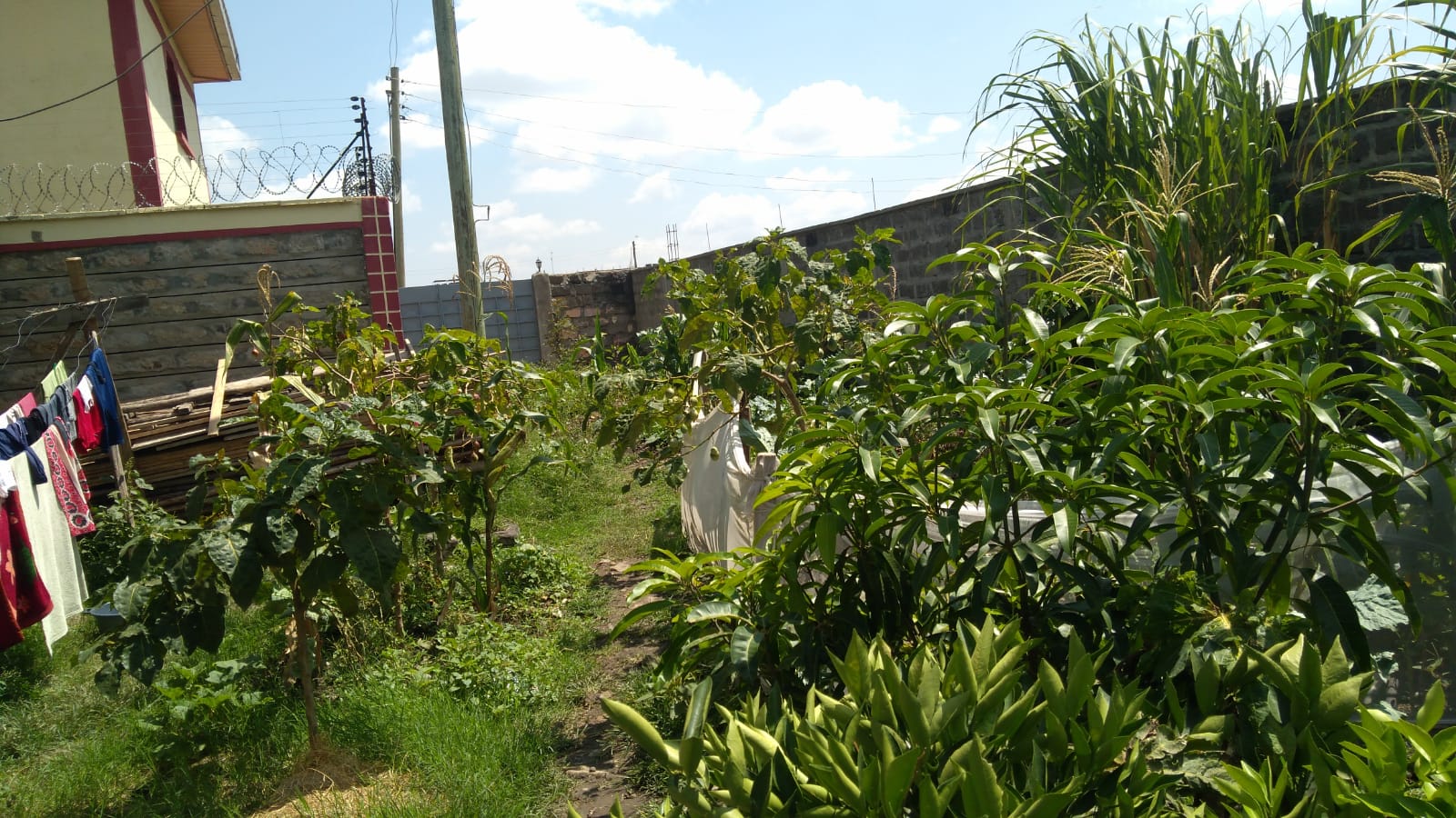 4 bedroom bungalow for sale in Njiru, Kasarani