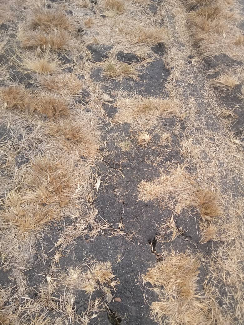 2 acres for sale at konza cooperative 
