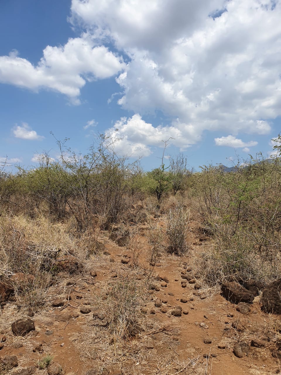 Plot at kitengela. 