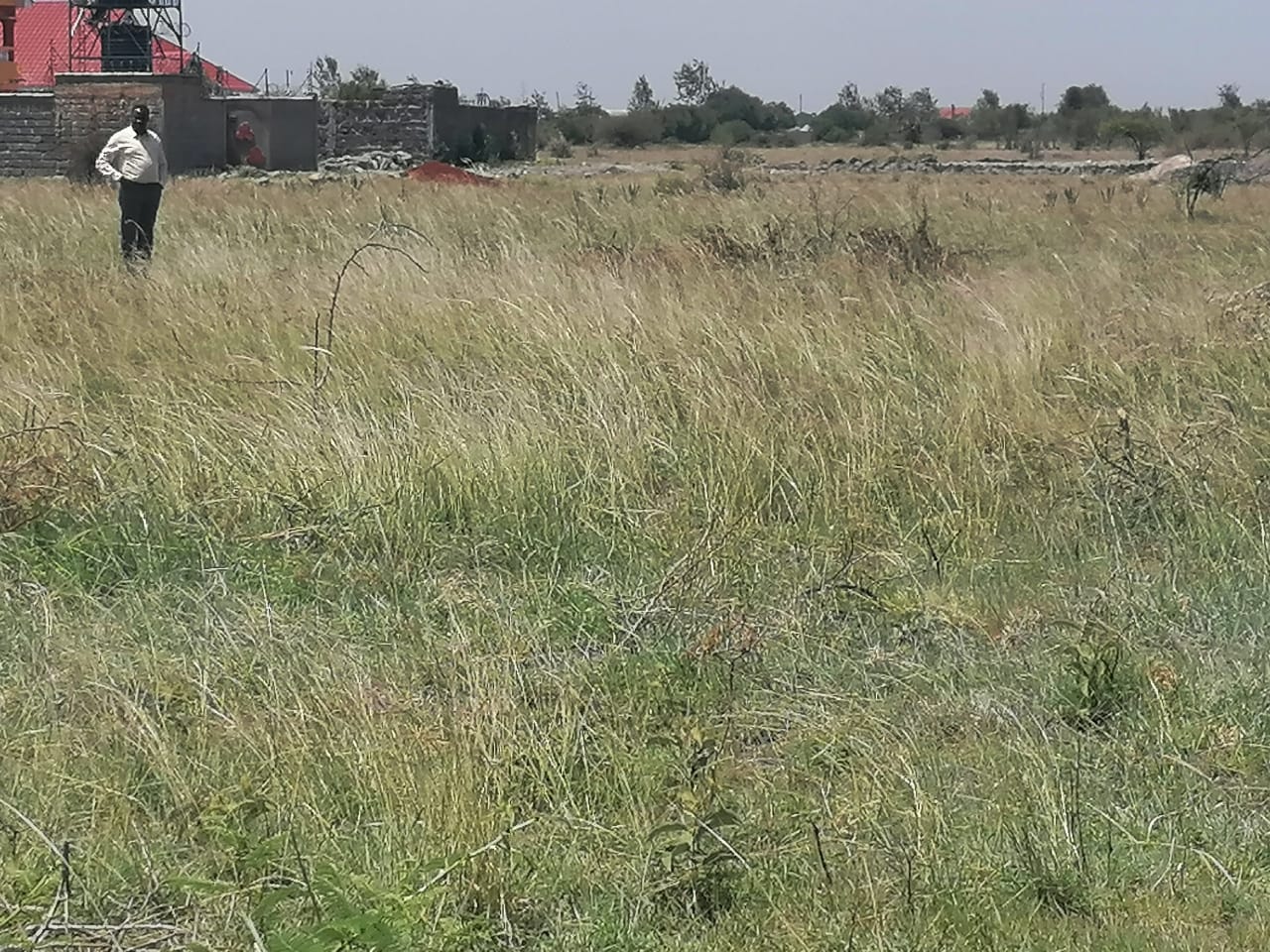 1/8th Acre plots for sale in Juja farm, Juja