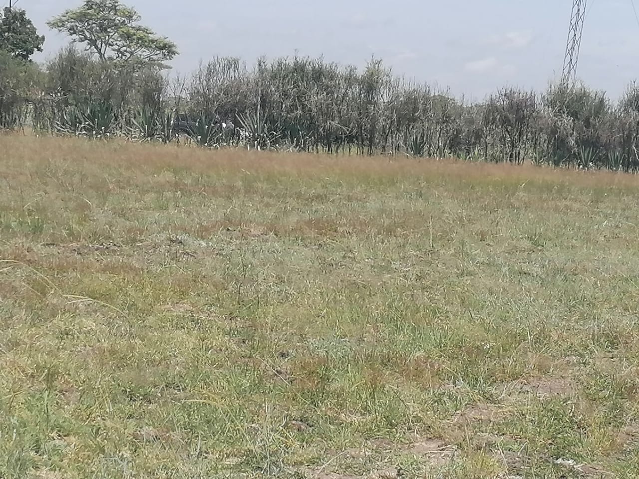 1/8th Acre plots for sale in Juja farm, Juja