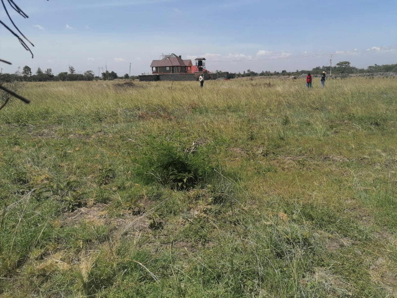 1/8th Acre plots for sale in Juja farm, Juja