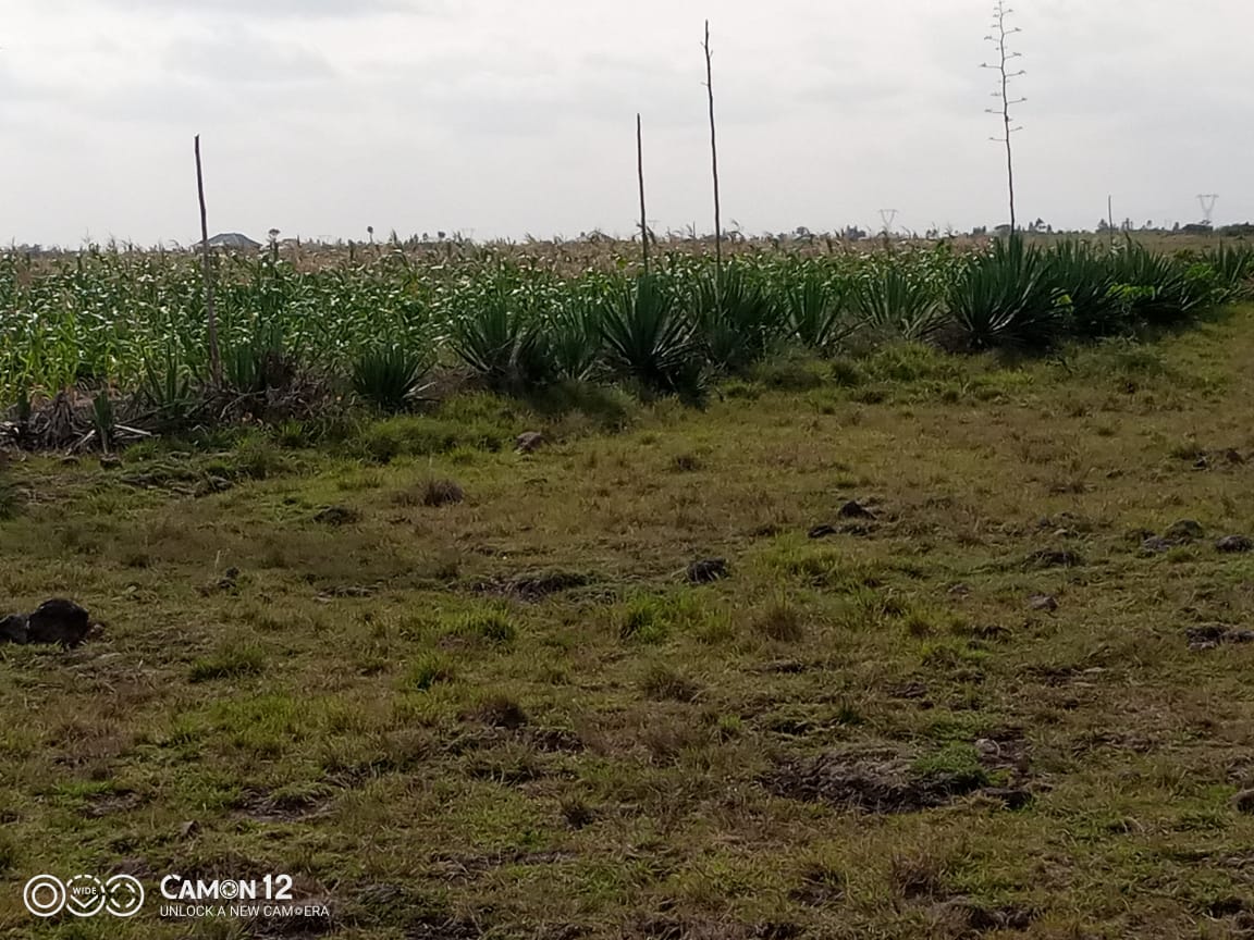 Juja Athi Plots for sale (40 x 90) few meters from upcoming greater Eastern bypass