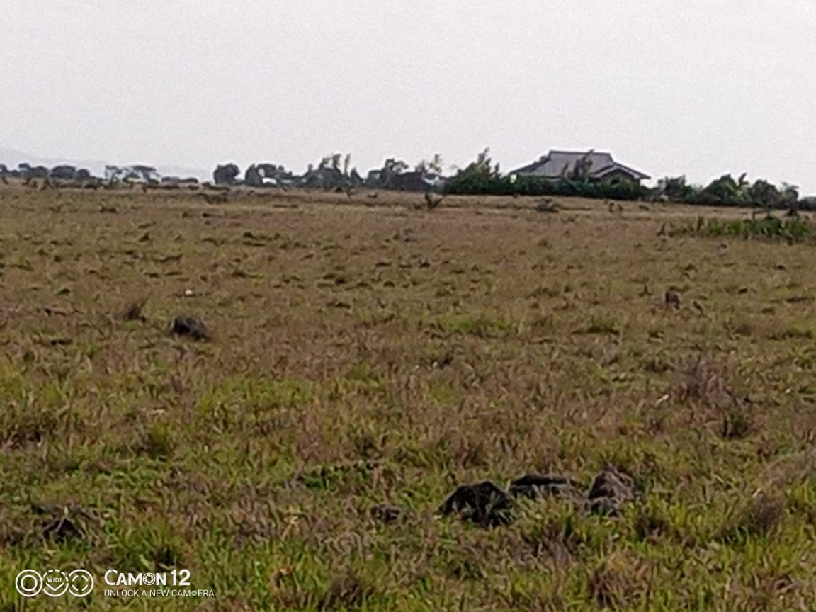 Juja Athi Plots for sale (40 x 90) few meters from upcoming greater Eastern bypass