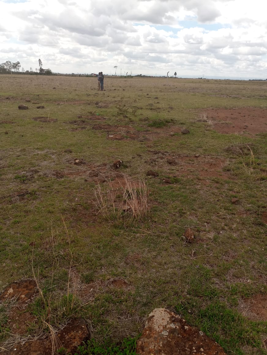  Juja farm athi 1/8th Plots for sale few meters from upcoming greater Eastern bypass