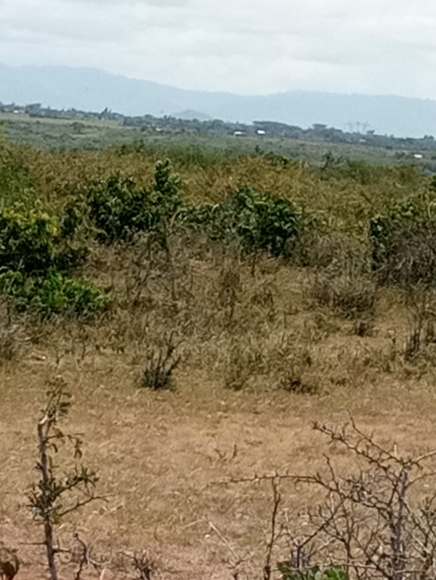 Mwireri prime plots for sale (40 x 90) in Juja