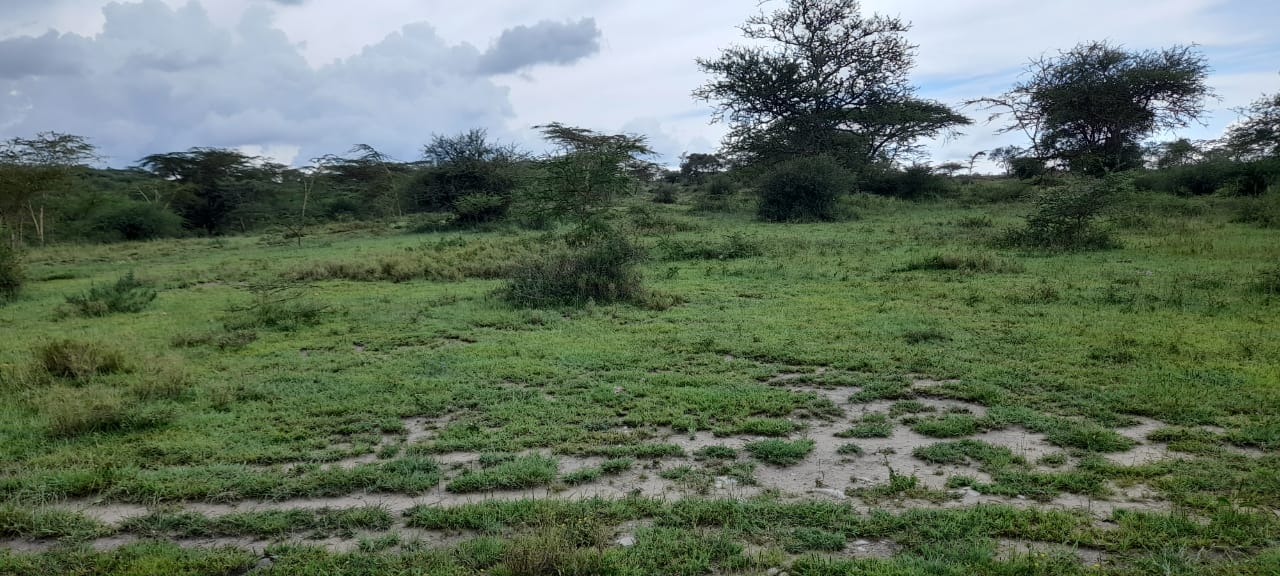 8 Acres land for Sale in Kajiado